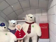 -济州岛泰迪熊博物馆