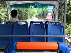 -东平国家森林公园