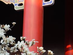 -皇罗禅寺