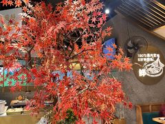 -滇色蒸汽石锅鱼(京华城店)