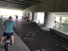 -杨柳河(地铁站)