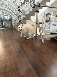 -HEY!TATTOO·嘿刺青