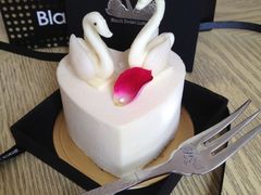-BLACKSWAN黑天鹅(环球店)