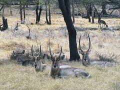 -卡塞拉自然公园