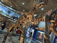 -国家自然博物馆