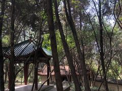 -富乐山