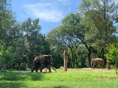 -北京野生动物园