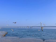 -大连星海广场音乐喷泉