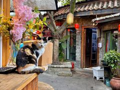-川白楼·老成都院坝川菜鱼鲜馆(马鞍路店)