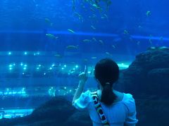 -成都浩海立方海洋公园