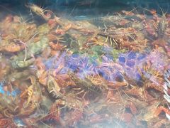 -渔人湾码头海鲜市场负二楼
