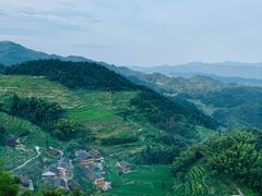 -紫鹊界梯田景区