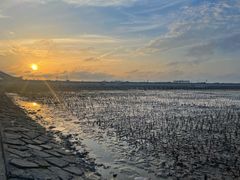 -上海南汇嘴大堤酒店