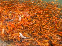 -楠溪江风景名胜区