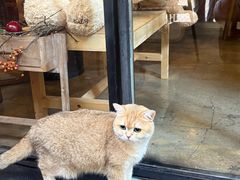 -咖法森林·咖啡  酒吧(天河店)