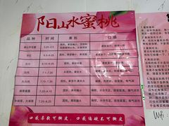 -老袁家蜜桃农场·阳山水蜜桃