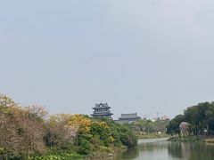 -海珠湖公园