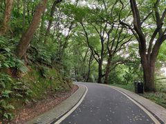 -东湖磨山景区