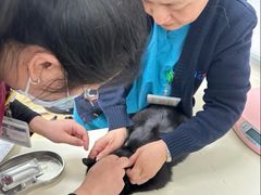 -宠颐生中康贝怡动物医院