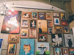 -猫咪博物馆(顶澳仔猫街店)