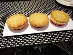 -新兴·金羊座·粤菜点心(乐峰店)