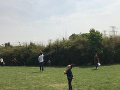 -九里河湿地公园
