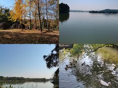 -东湖落雁景区