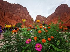 -天山神秘大峡谷