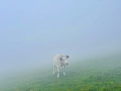 -灵山