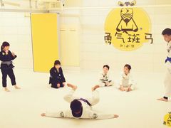 -勇气斑马·巴西柔术&跆拳道(浦东三林店)