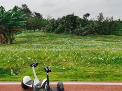 -白鹭湾湿地公园