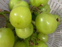 -盒马鲜生(189购物中心店)