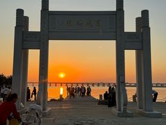 -宝安西湾红树林湿地公园