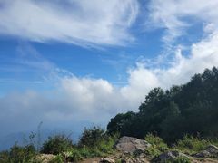 -白草畔自然风景区