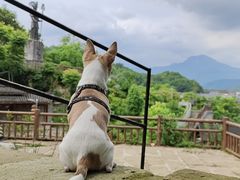 -海窝子古镇