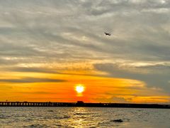 -宝安西湾红树林湿地公园