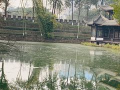 -桂湖森林公园