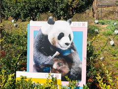 -栾川竹海野生动物园