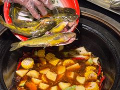 -刘淑芬·活鱼铁锅炖(北京首店)