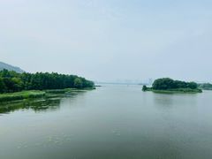 -长广溪湿地公园