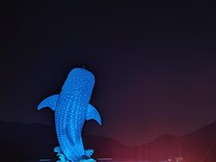 -珠海长隆海洋王国
