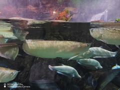 -成都浩海立方海洋公园