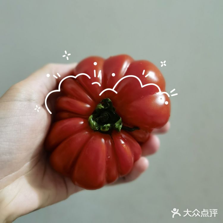 🍅奇奇怪怪可可爱爱番茄记录～