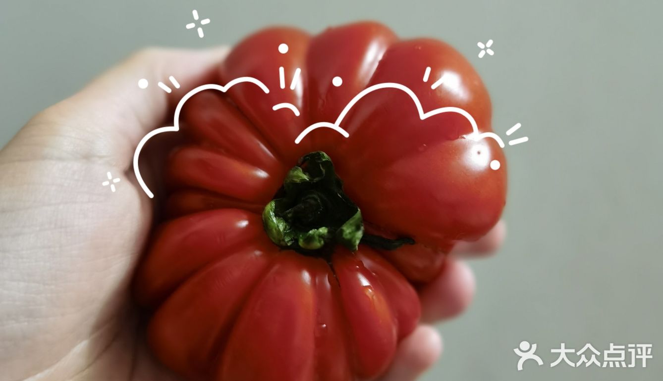 🍅奇奇怪怪可可爱爱番茄记录～