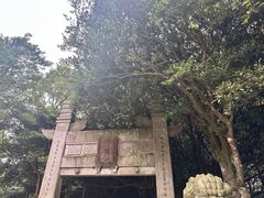 -普陀山风景区-佛顶山