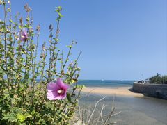 -蓬莱阁景区
