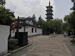 -普洱茶府(博乐广场店)