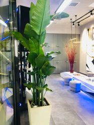 -SEBASTIAN塞巴斯汀