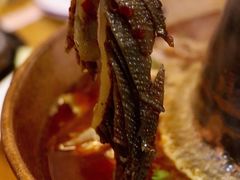 毛肚-野山椒老火锅(德胜营子店)