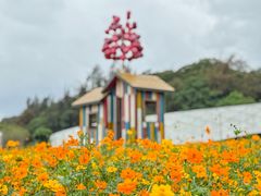 -野狸岛